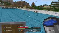 Fish (Image via Minecraft)